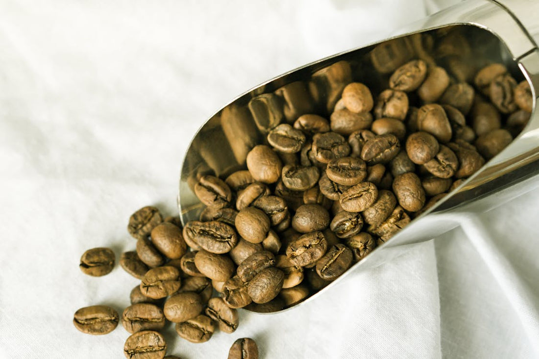 Why Light Roasts like Urban Blend Are Gaining Popularity